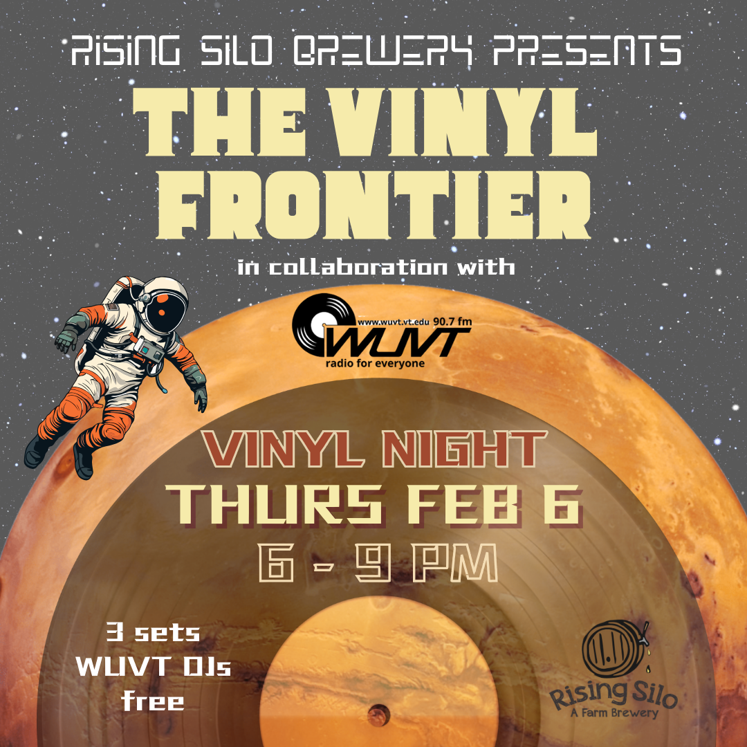 Vinyl Night Poster